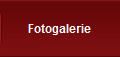 Fotogalerie